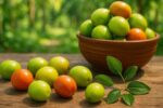 Ber Fruit Benefits in Marathi: बोर फळ: पौष्टिकता, फायदे आणि उपयोग यांचा खजिना