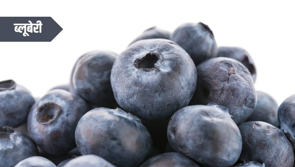 Health Benefits of Blueberry in Marathi: रोजच्या जेवणात समाविष्ट करून निरोगी जीवन जगा!