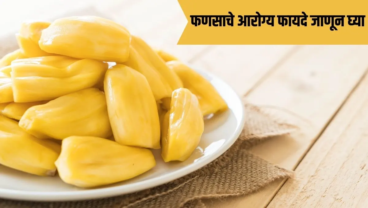 Jackfruit Benefits in Marathi: जाणून घ्या फणसाचे फायदे; चांगल्या आरोग्यासाठी एक नैसर्गिक वरदान!