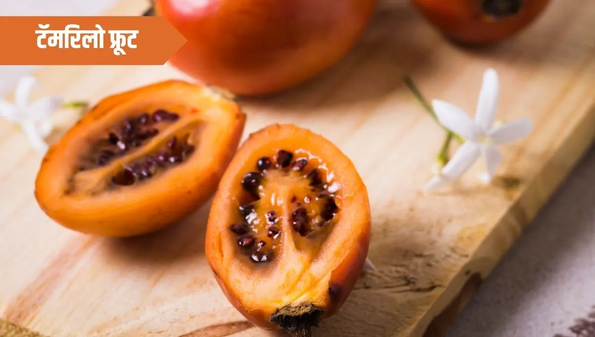 Tamarillo Fruit Benift in Marathi: हे उष्णकटिबंधीय फळ का आहे इतके खास जाणून घ्या?