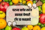 Top 10 Fruits to Grow in a Garden: घरच्या बागेत सहज वाढवता येणारी टॉप १० फळझाडे – ताजी फळे आणि आरोग्यासाठी उत्तम पर्याय!