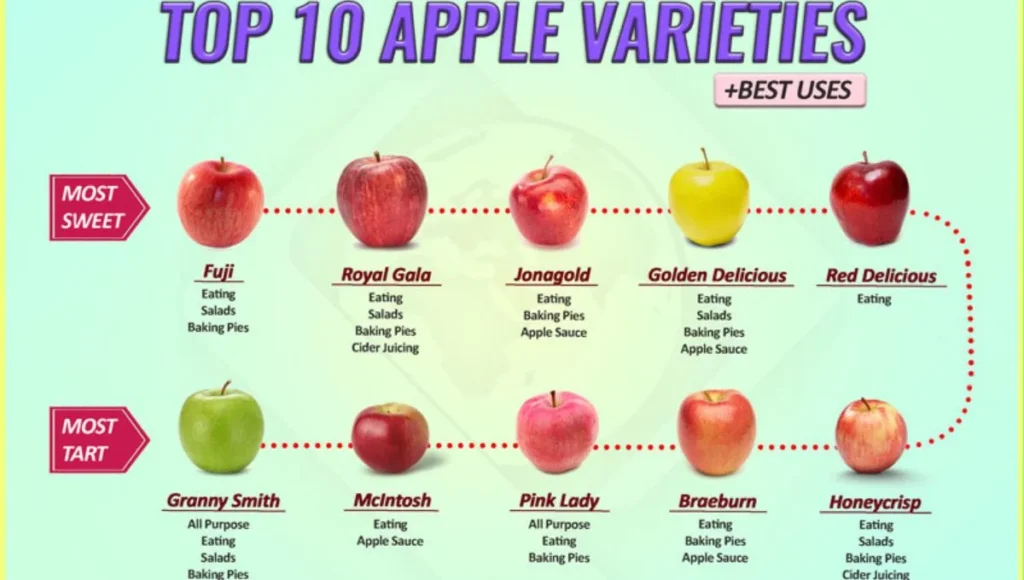 top 10 apple varieties.